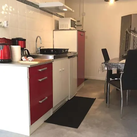 Apartment T1 Bis Completement Independant Lourdes